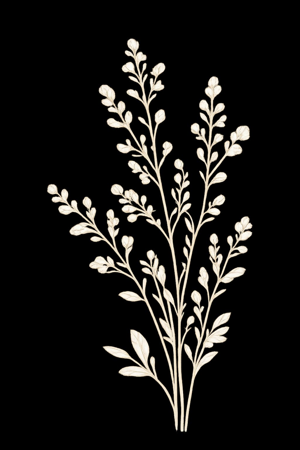Botanical flower decoration
